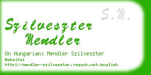 szilveszter mendler business card